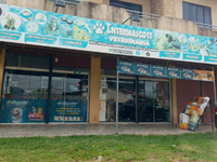 Francy Mendoza vidal