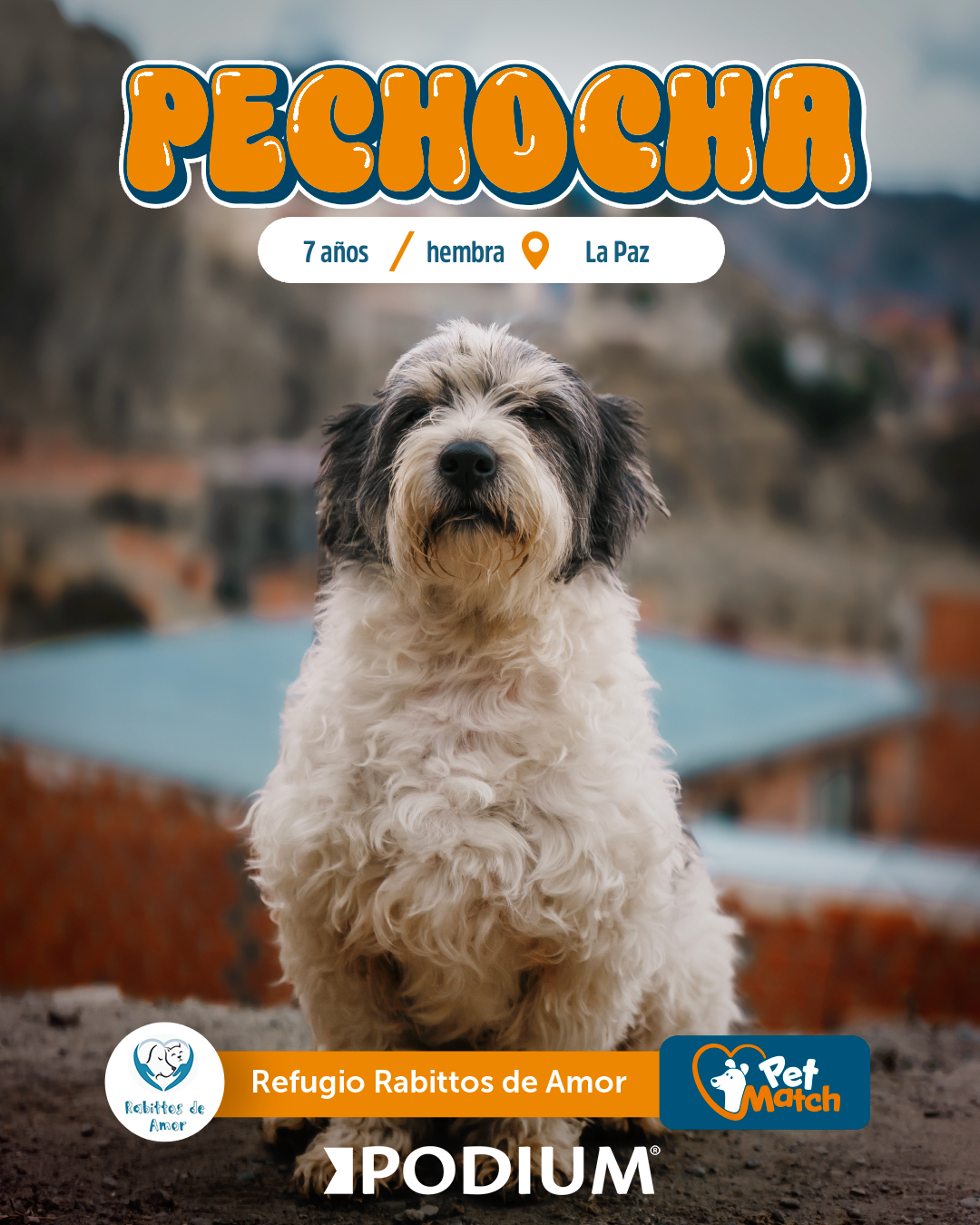 Pechocha - La Paz